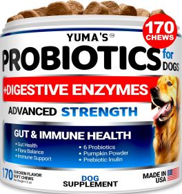 Probiotics and Digestive Enzymes for Dogs